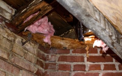 Does Homeowners Insurance Cover Foundation Damage?